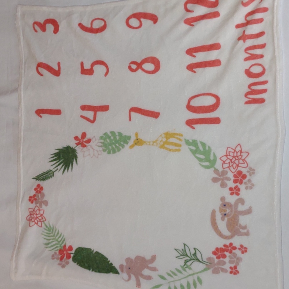 Baby Girl Milestone Blanket